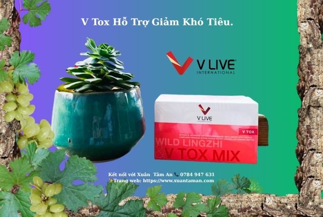 Sản Phẩm V Tox – Giải Pháp Thanh Lọc Tự Nhiên, An Toàn Từ Thảo Dược Quý Hiếm